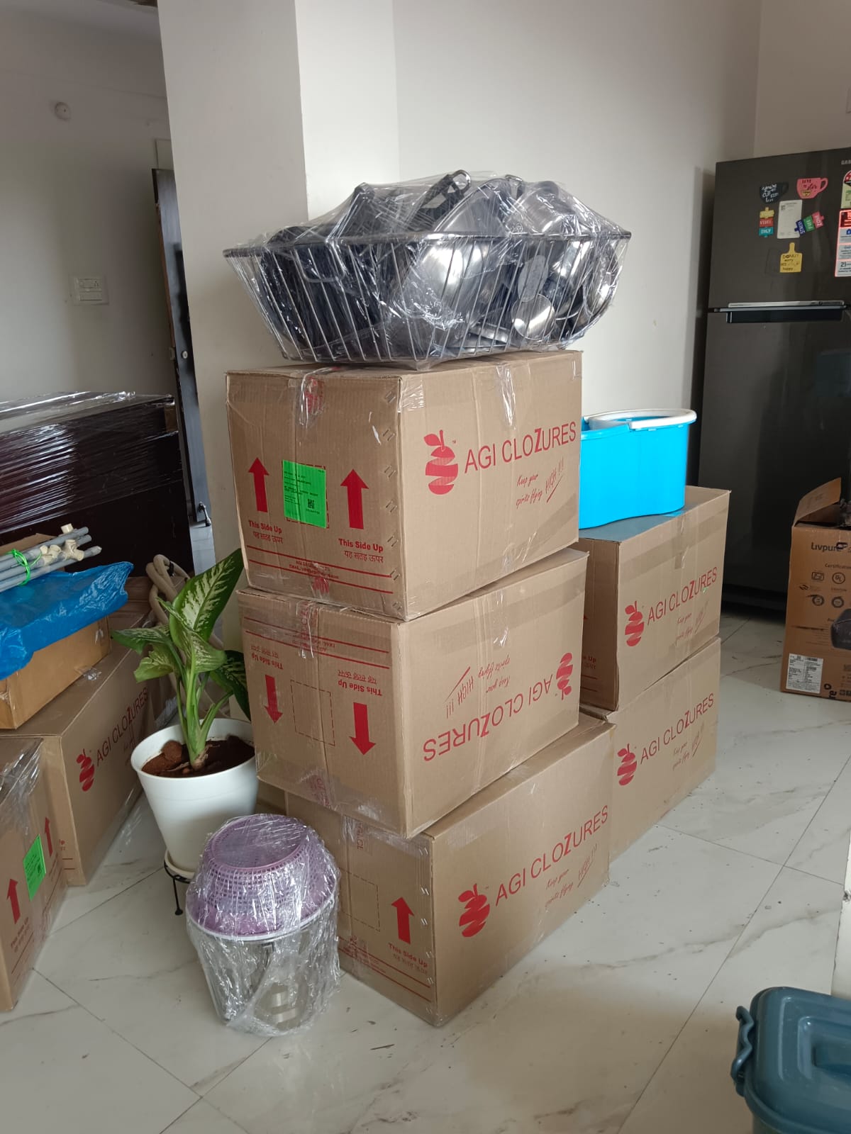 Local Packers and Movers Experts in Vapi